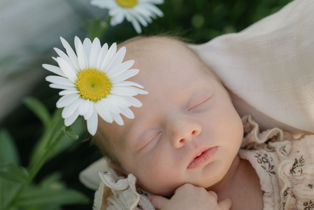 Sleeping newborn baby with a white daisy beside her